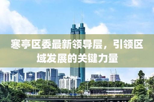 寒亭区委最新领导层，引领区域发展的关键力量