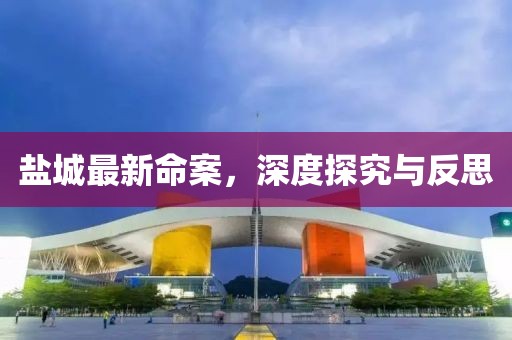 盐城最新命案，深度探究与反思