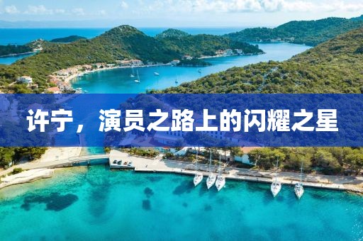 许宁，演员之路上的闪耀之星