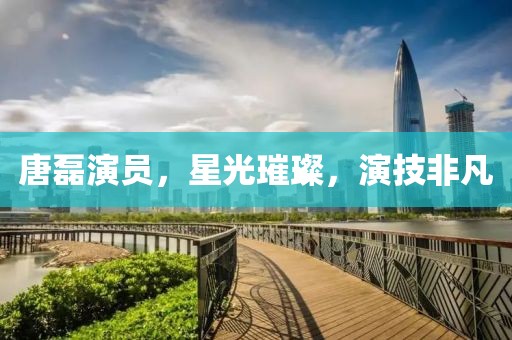 唐磊演员，星光璀璨，演技非凡