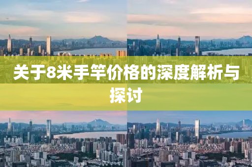 关于8米手竿价格的深度解析与探讨