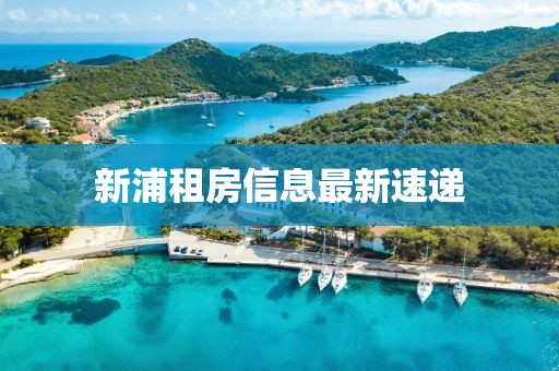 新浦租房信息最新速递