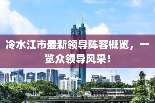 冷水江市最新领导阵容概览，一览众领导风采！