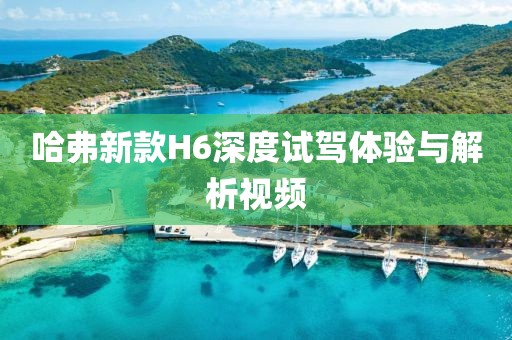 凉秋瑾言 第13页