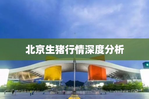 北京生猪行情深度分析