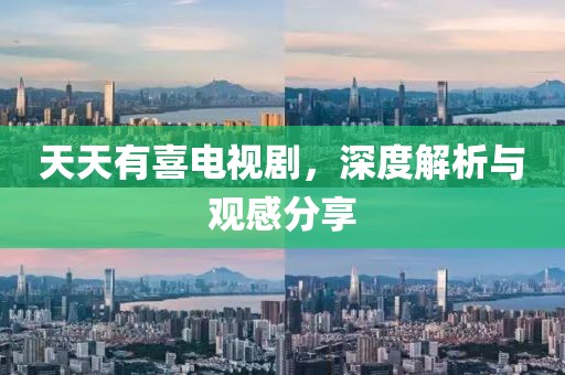 天天有喜电视剧，深度解析与观感分享