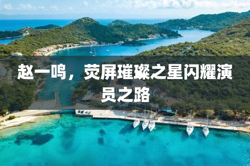 赵一鸣，荧屏璀璨之星闪耀演员之路