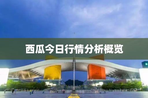 西瓜今日行情分析概览