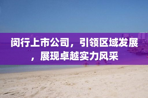 闵行上市公司，引领区域发展，展现卓越实力风采