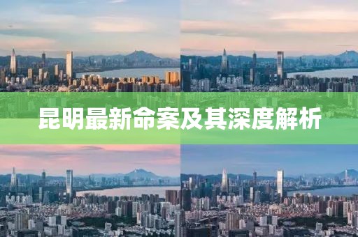 昆明最新命案及其深度解析