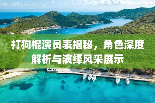打狗棍演员表揭秘，角色深度解析与演绎风采展示