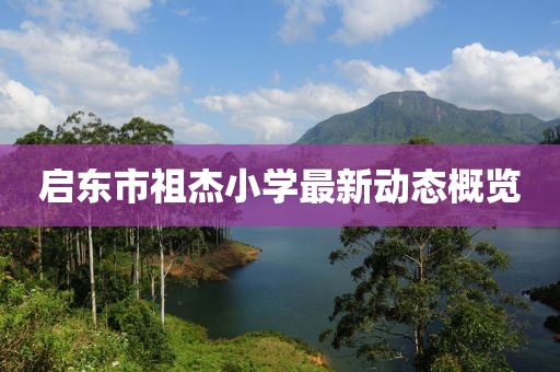 启东市祖杰小学最新动态概览