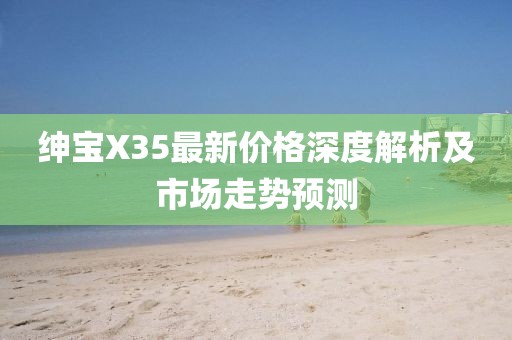 绅宝X35最新价格深度解析及市场走势预测