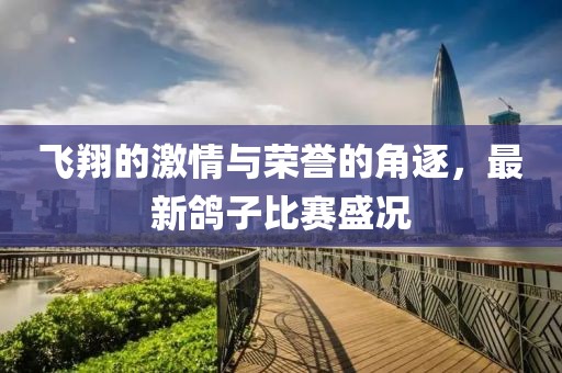 飞翔的激情与荣誉的角逐，最新鸽子比赛盛况