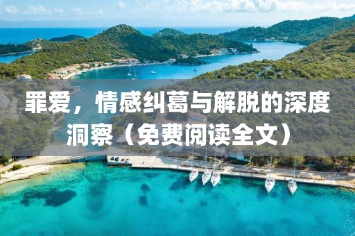 罪爱，情感纠葛与解脱的深度洞察（免费阅读全文）
