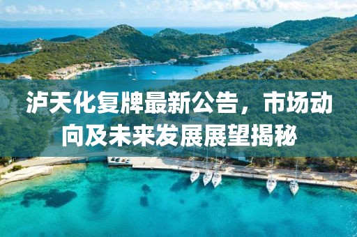 泸天化复牌最新公告，市场动向及未来发展展望揭秘