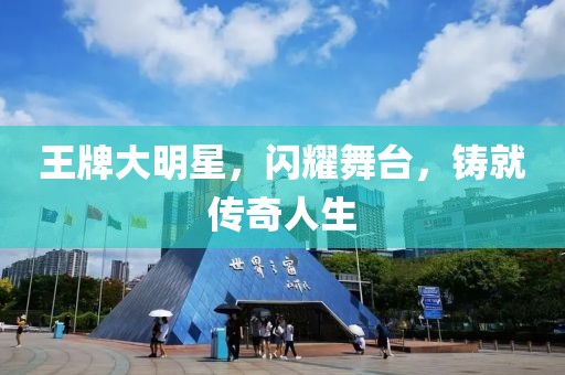 王牌大明星，闪耀舞台，铸就传奇人生