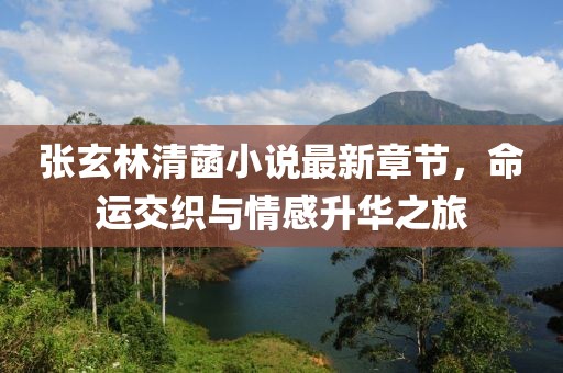 张玄林清菡小说最新章节，命运交织与情感升华之旅
