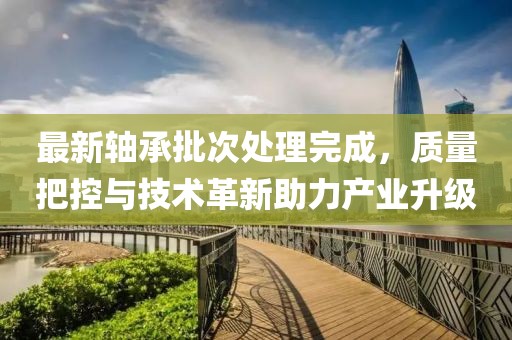 最新轴承批次处理完成，质量把控与技术革新助力产业升级