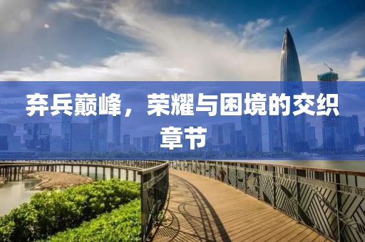 弃兵巅峰，荣耀与困境的交织章节