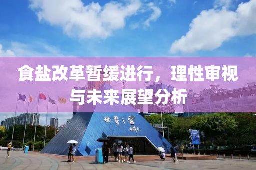 食盐改革暂缓进行，理性审视与未来展望分析