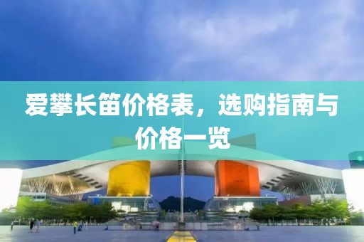 爱攀长笛价格表，选购指南与价格一览