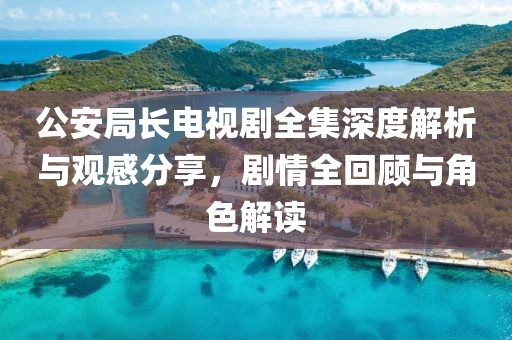 公安局长电视剧全集深度解析与观感分享，剧情全回顾与角色解读