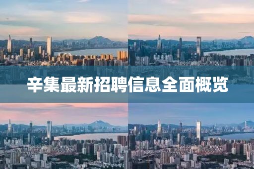 辛集最新招聘信息全面概览