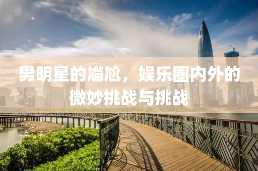 男明星的尴尬，娱乐圈内外的微妙挑战与挑战