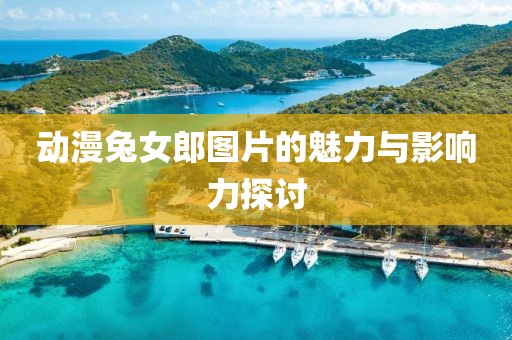 动漫兔女郎图片的魅力与影响力探讨