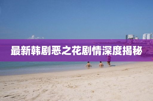最新韩剧恶之花剧情深度揭秘
