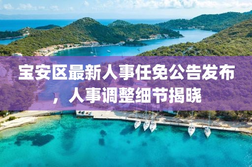 宝安区最新人事任免公告发布，人事调整细节揭晓
