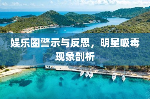 娱乐圈警示与反思，明星吸毒现象剖析