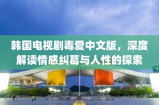 韩国电视剧毒爱中文版，深度解读情感纠葛与人性的探索