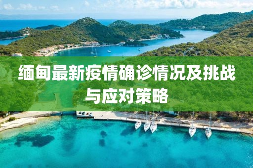 缅甸最新疫情确诊情况及挑战与应对策略