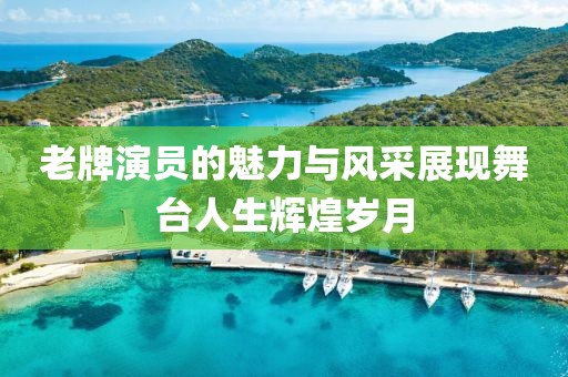 老牌演员的魅力与风采展现舞台人生辉煌岁月