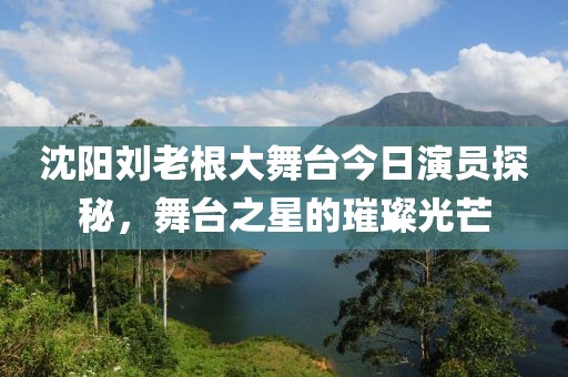 沈阳刘老根大舞台今日演员探秘，舞台之星的璀璨光芒