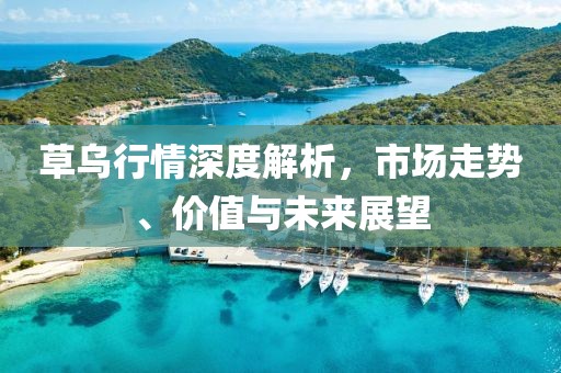 草乌行情深度解析，市场走势、价值与未来展望