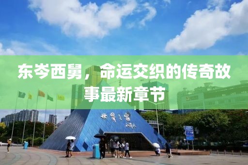东岑西舅，命运交织的传奇故事最新章节