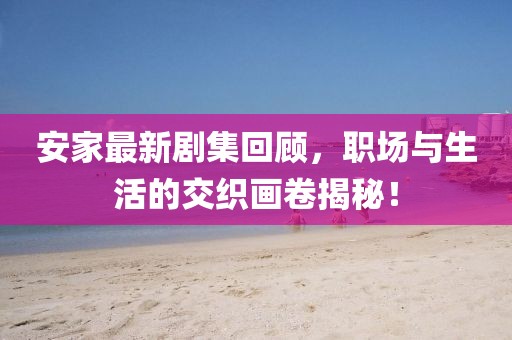 安家最新剧集回顾，职场与生活的交织画卷揭秘！