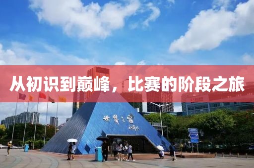 从初识到巅峰，比赛的阶段之旅