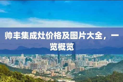 帅丰集成灶价格及图片大全，一览概览