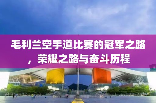 毛利兰空手道比赛的冠军之路，荣耀之路与奋斗历程