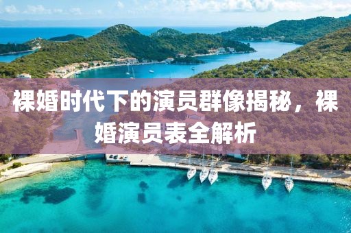 裸婚时代下的演员群像揭秘，裸婚演员表全解析