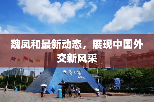 魏凤和最新动态，展现中国外交新风采