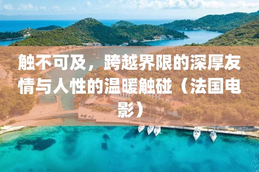 触不可及，跨越界限的深厚友情与人性的温暖触碰（法国电影）