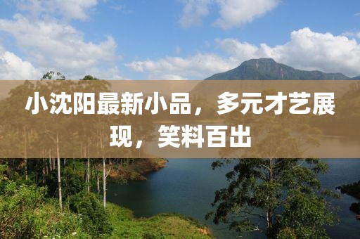 小沈阳最新小品，多元才艺展现，笑料百出