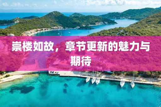 崇楼如故，章节更新的魅力与期待