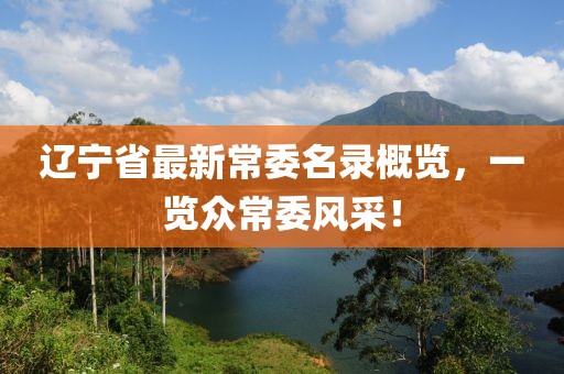 辽宁省最新常委名录概览，一览众常委风采！