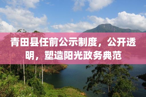 青田县任前公示制度，公开透明，塑造阳光政务典范